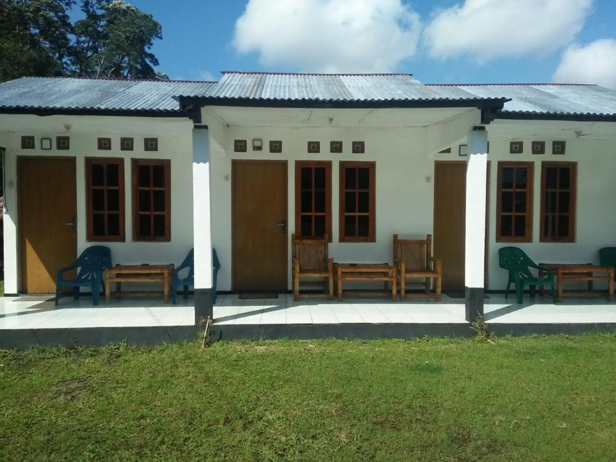 Rago'S Homestay Kelimutu Exterior foto